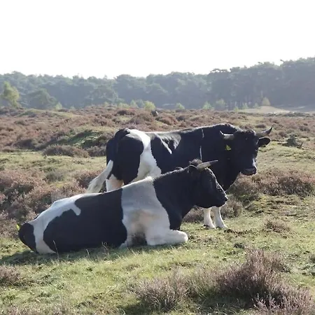 Διαμέρισμα Zicht *